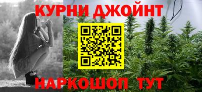 spice Гусев