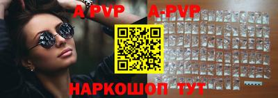 спиды Кингисепп