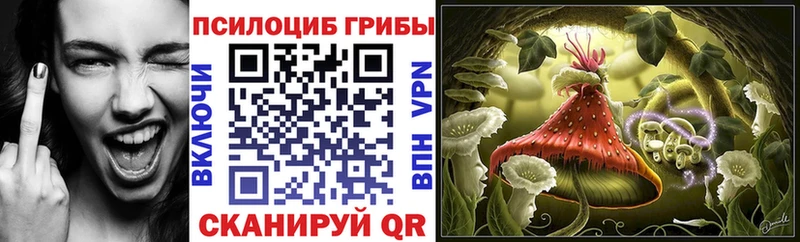 Псилоцибиновые грибы мицелий  Ковров 
