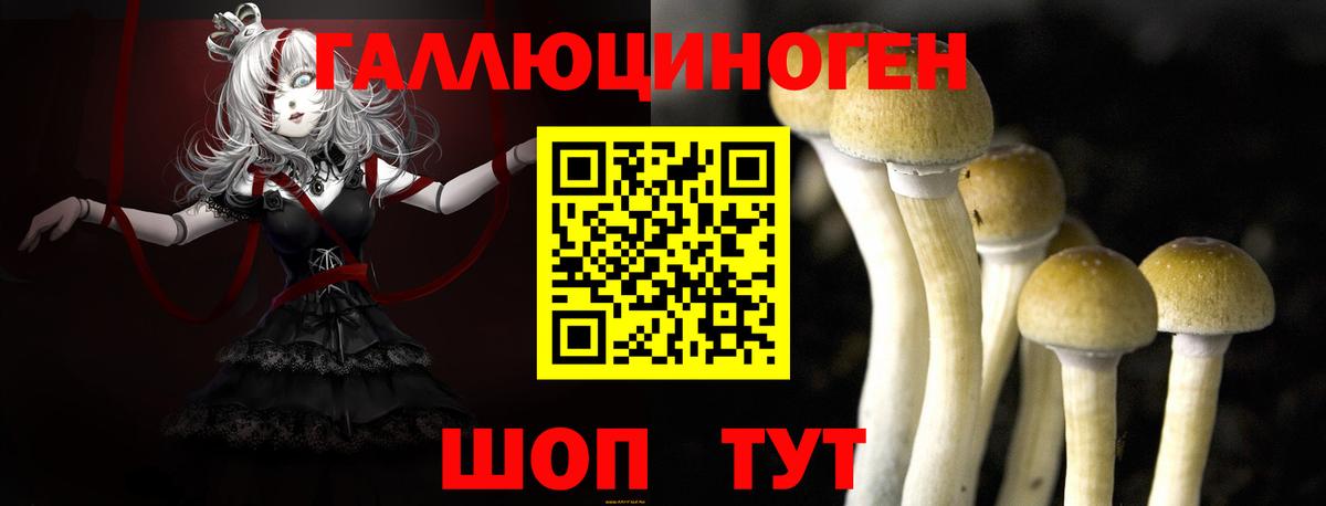 Галлюциногенные грибы Cubensis Ковров